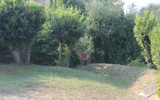 La Casa Di Cosa