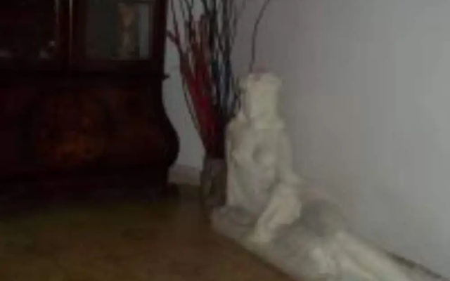 Il Pretoriano Apartment