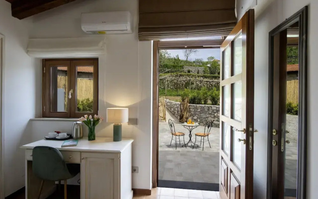 IL vigneto di nonno Pietro