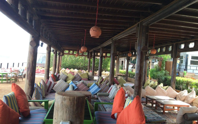 Penguin Village Dahab
