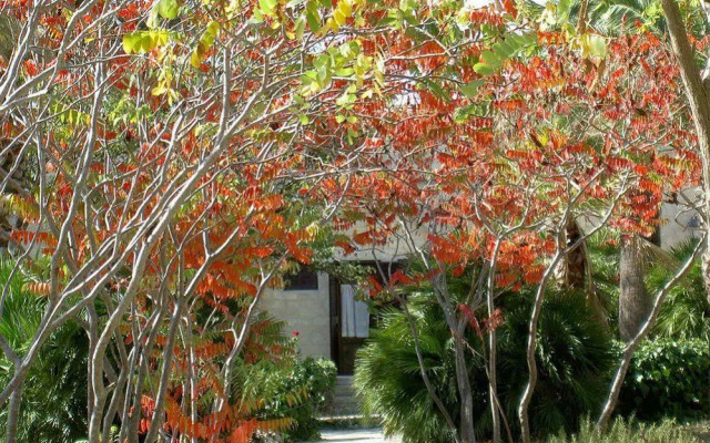 Masseria Il Cardinale