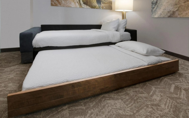 SpringHill Suites by Marriott San Angelo
