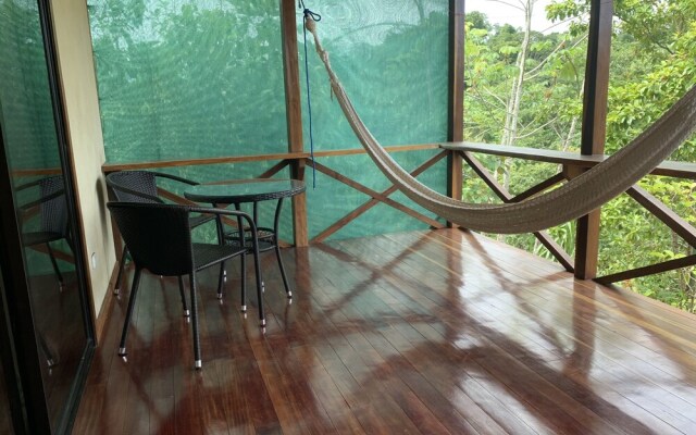 Studio Cecropia Primary Forest View