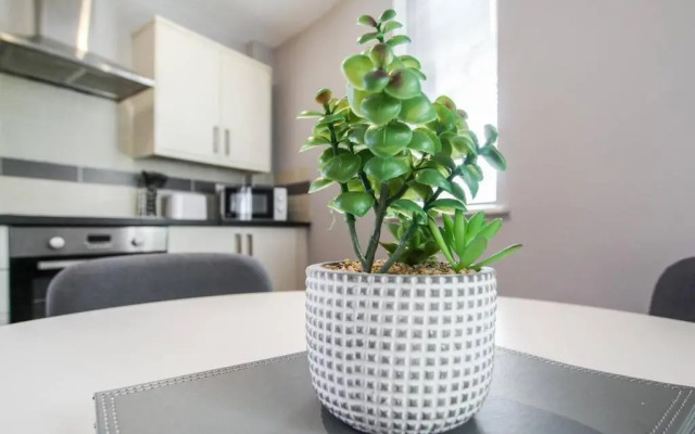 City Centre Modern Apartment