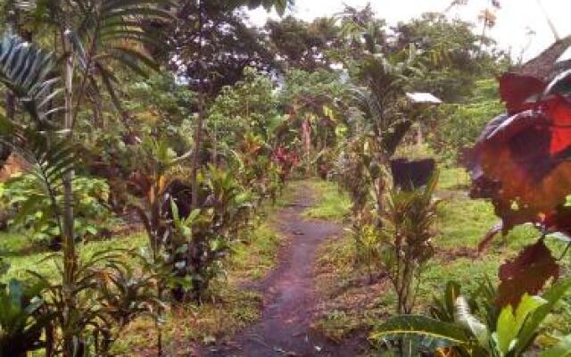 Tanna Volcano View Treehouse