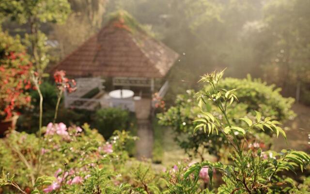 Terrasse Des Roses