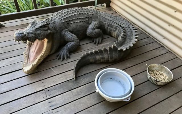 Kimberley Travellers Lodge - Hostel