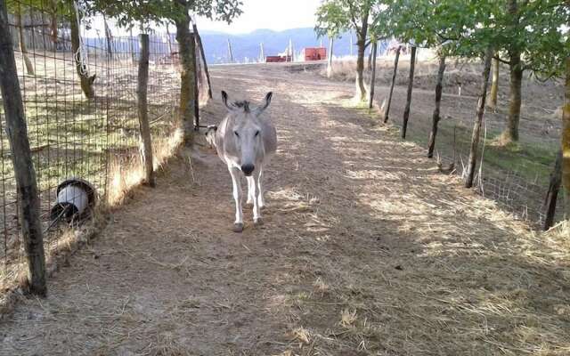 Agriturismo il Castelluccio