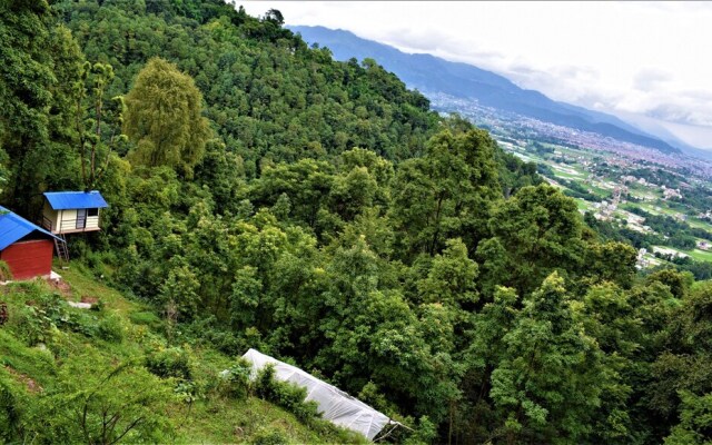 Jungle Crown Organic Homestay