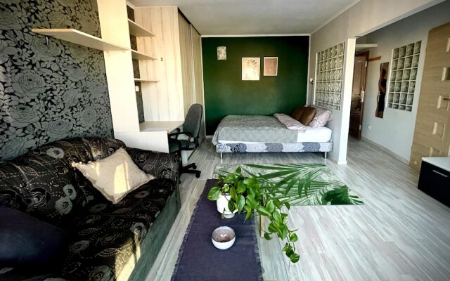 Relaxing and Calm Studio in Central Goleniow