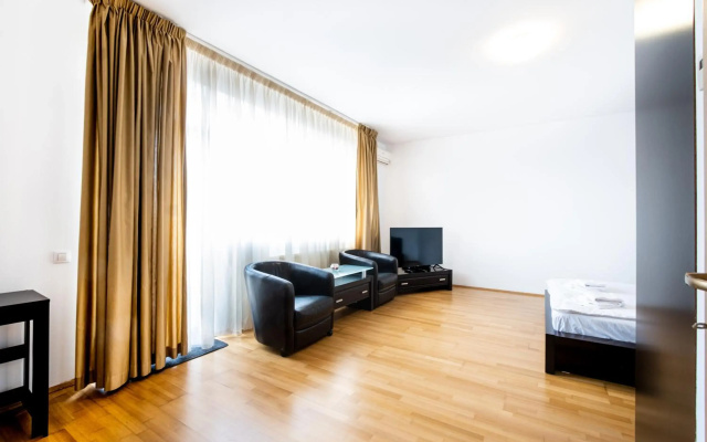Luxury Studio Aviatiei
