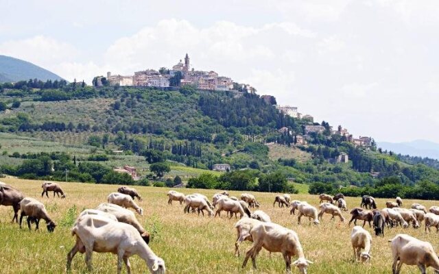 Agriturismo Residenza Paradiso