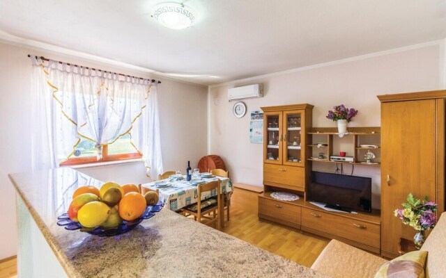 Amazing Home in Liznjan With Wifi and 2 Bedrooms