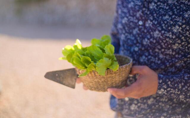 Agroturismo Llucmaçanes Gran