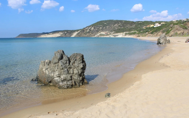 a Vacation That Becomes a Dream