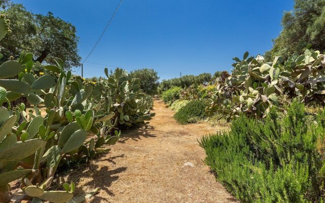2788 Masseria La Cazzigna by Perle di Puglia