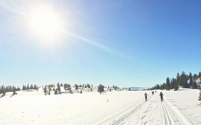 Liatoppen Fjellstue