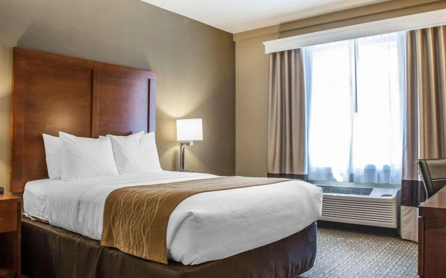 Comfort Inn & Suites Sturbridge - Brimfield