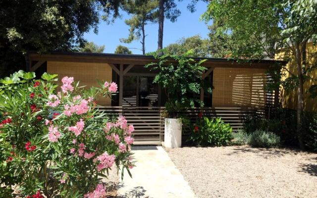 Campsite Sunny Home Soline
