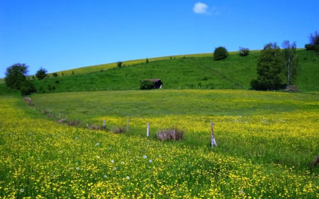 Sandra Comfortable Holiday Residence