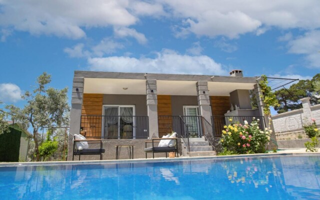 Villa With Private Pool Surrounded by Olive Trees