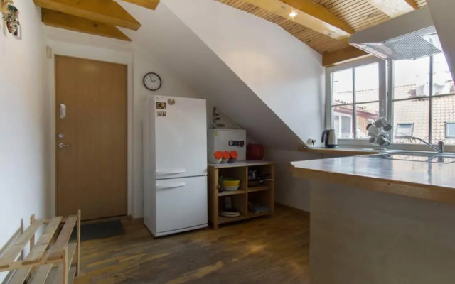 Šv. Mykolo Rooftop Apartment & Sauna