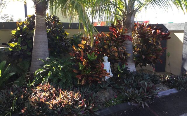 Golden Palms Motor Inn