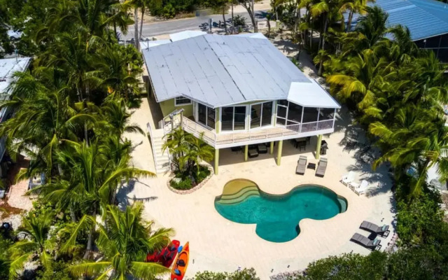 Lime Key in Key Largo
