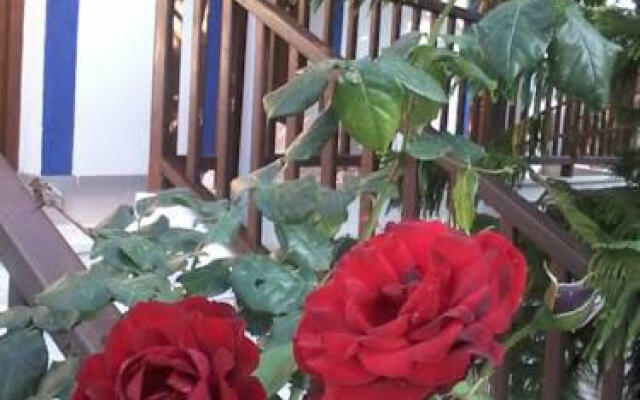 Diomas Studios