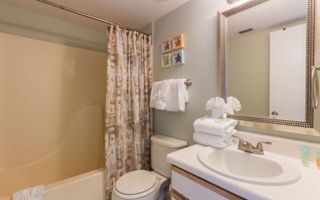 Tropical Winds by Hosteeva