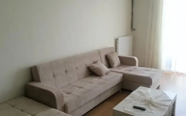 Safir Suite