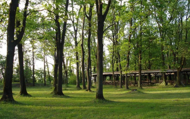Agriturismo Sant'Anna