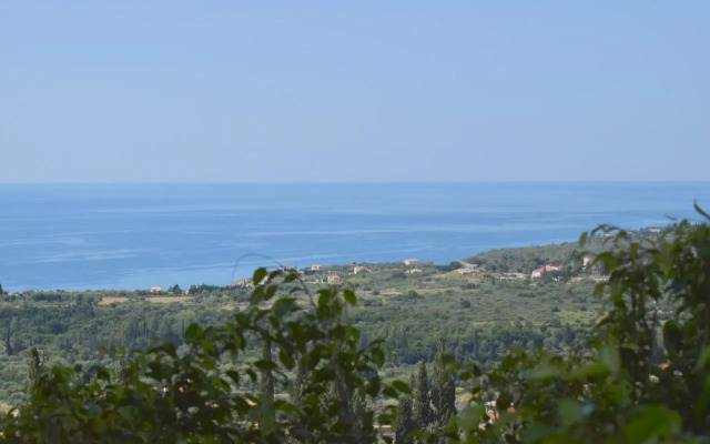Diana Suites