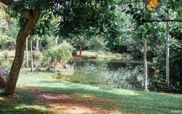 Sama Retreats - Kosgoda