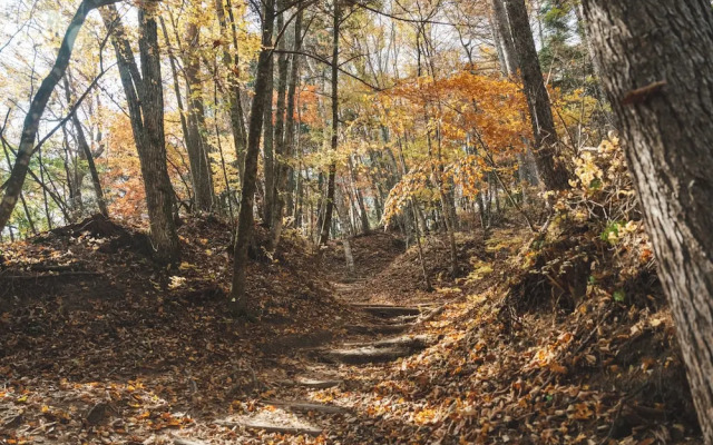 Kobuchizawa Art&Wellness IKIGAI - VILLAS