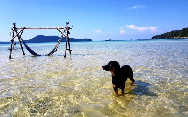 Dolphin Bay resort