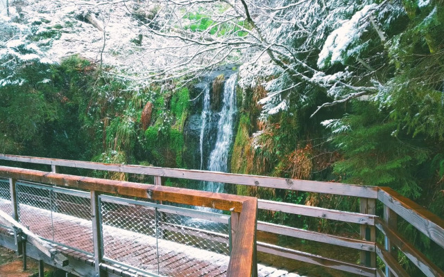 Wanderlust Panorama - Leben im Nationalpark