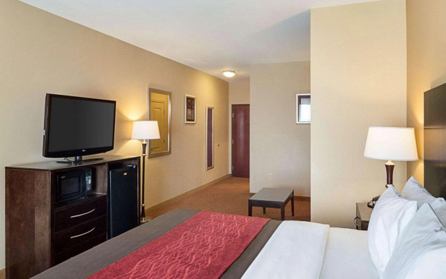 Comfort Inn & Suites Monahans I-20