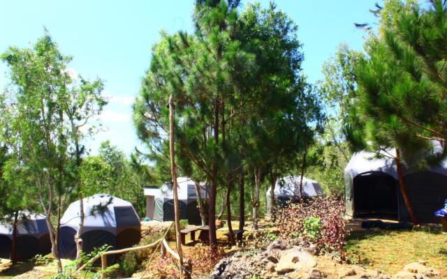 Bukit Lintang Sewu Domping