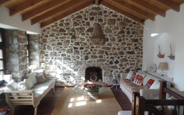 The fig tree house