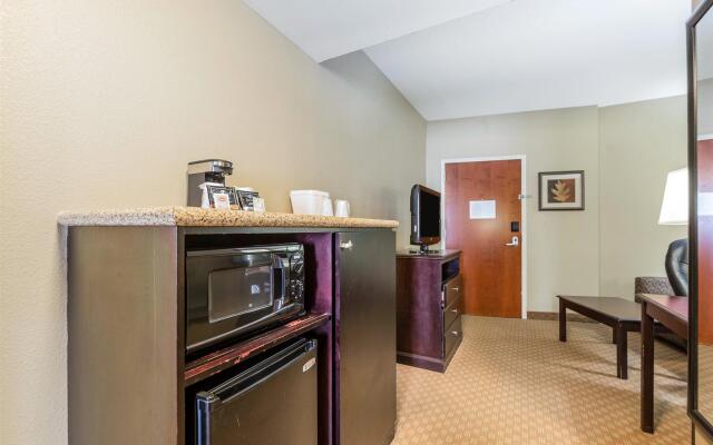 Comfort Suites North