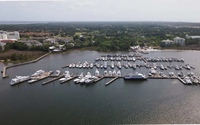 Seashell Shuffle at Pilot House