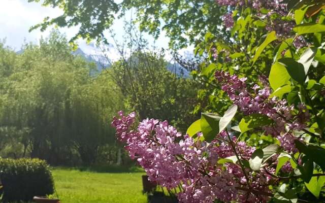 Briza de Munte
