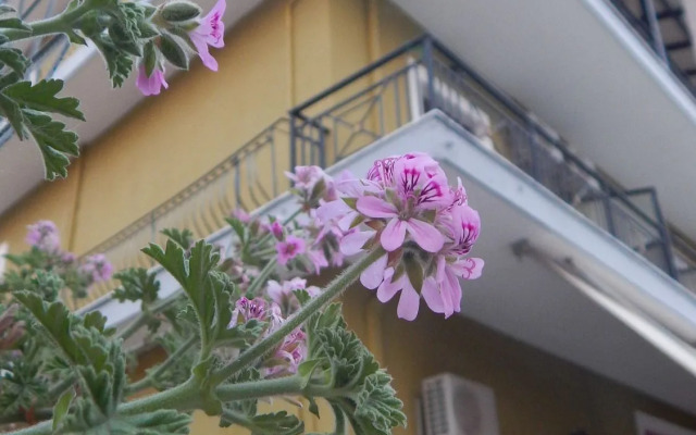 Petania Hotel & Apartments