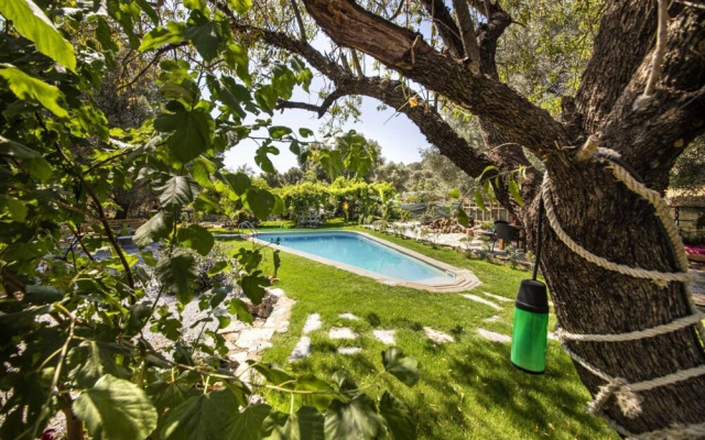 House With Impressive Interior Design in Bodrum