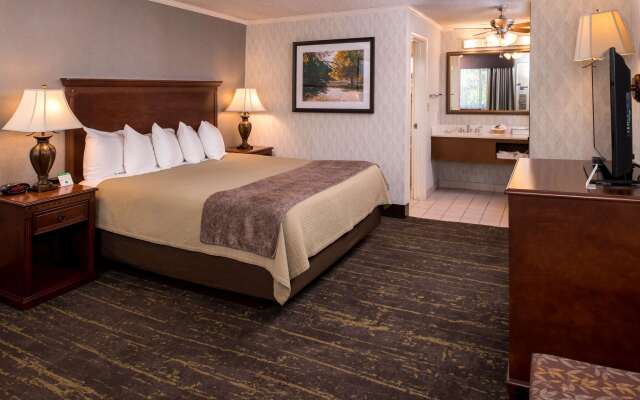 Best Western Plus Black Oak