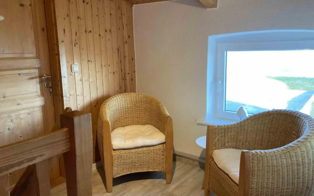 Hagelstein-III-Herzmuschel