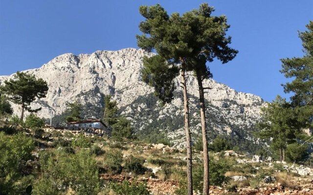 Olympos Mountain Lodge