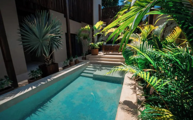 Casa Mandarina Downtown With Pool