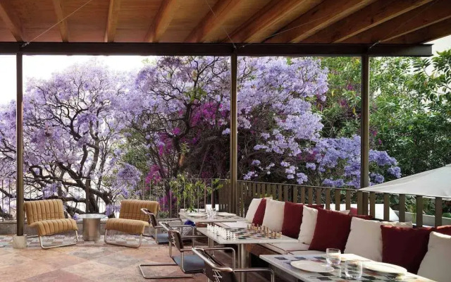 Hotel Dama